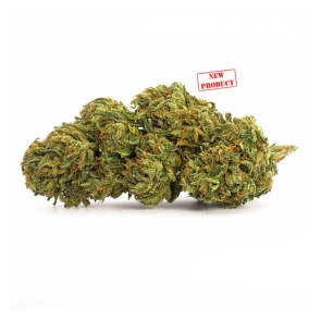 glreenhouseharleykush1