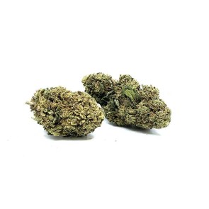 harleykush